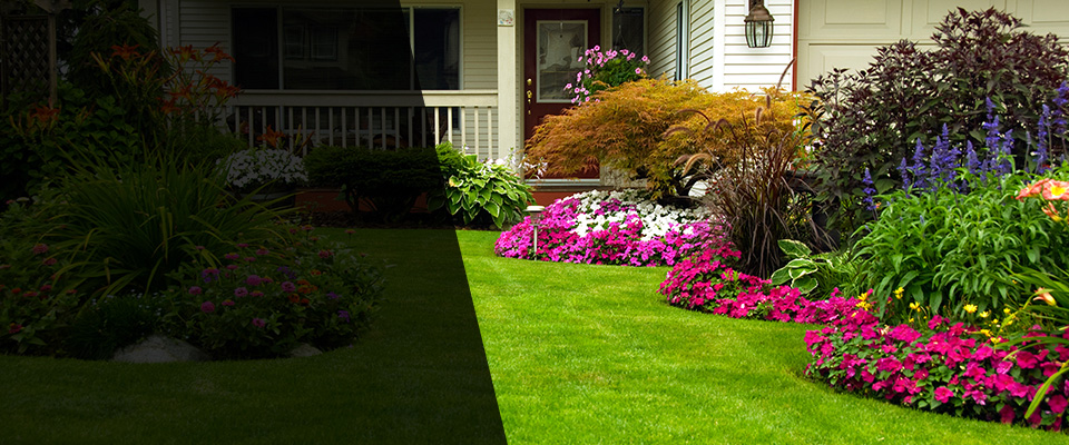 Rincon Landscapers