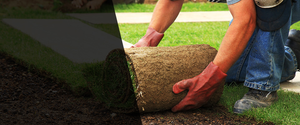 Rincon Landscapers